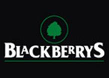 Blackberrys logo