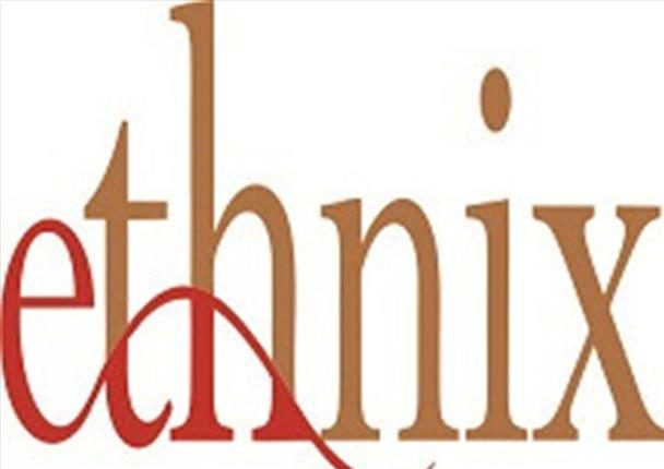 Ethnix logo
